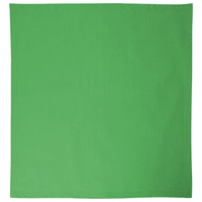 Dynasty DryBlend Stadium Fleece Blanket Thumbnail